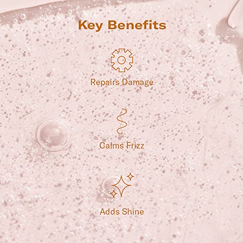 Dae Prickly Pear Hair Oil - Smooths Frizz, Hydrates, Prevents Breakage, Detangles, & Adds Shine (1.7 Oz) #TOP1