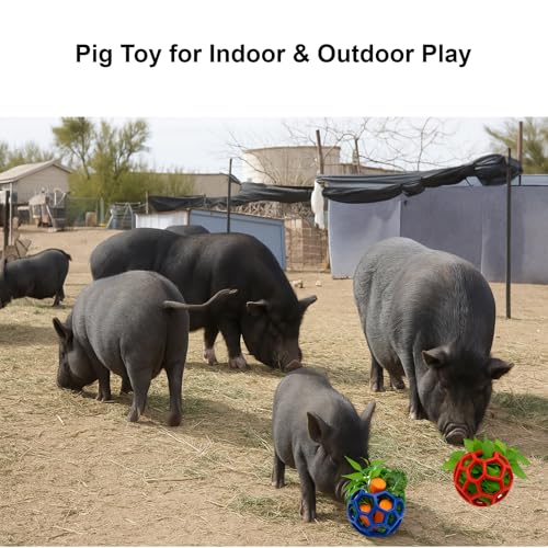 Image of 2Pcs Pig Enrichment Toys, Treat Ball Toy for Mini Pigs and Farm, Hanging Chew Ball Enrichment Toy with Rope for Pigs to Play with