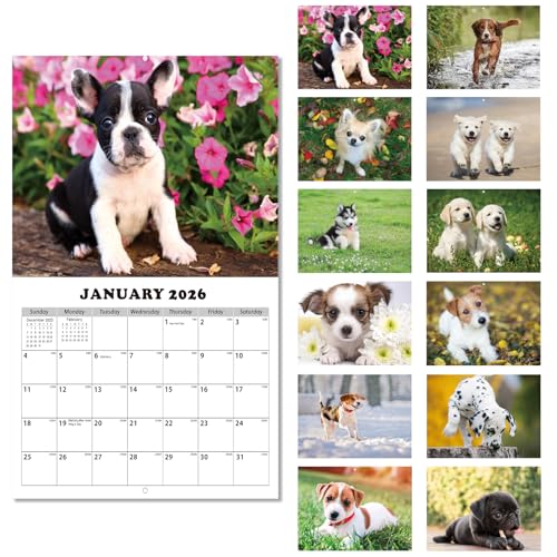 Dayvorax 2026-2027 Cute Dog Calendar
