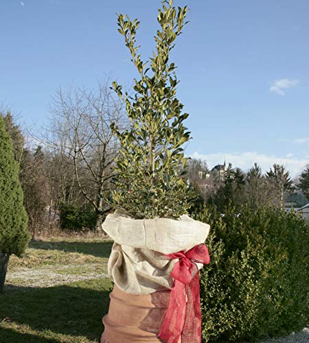 Windhager Jute-Sack 100 x 110 cm, Natur Wintervlies – Bild 7