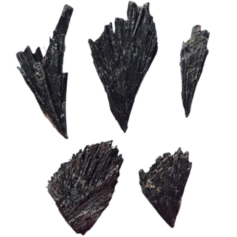 Imagen de catálogo asociada a Cianita Negra Escoba de Bruja en Bruto 100g Hojas Piedra de Protección Con