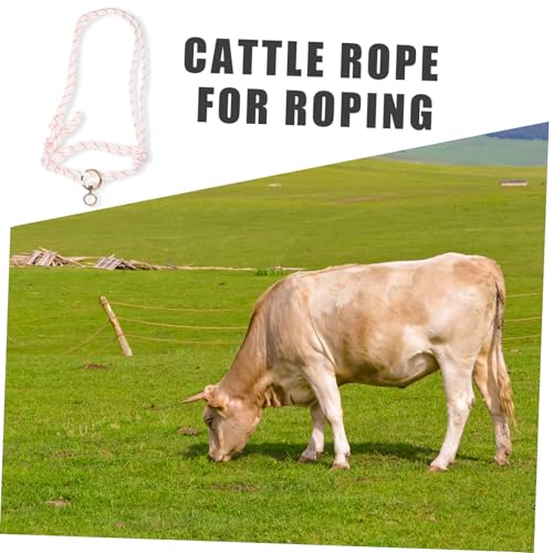 Cabestro de cuerda para ganado hasta 500kg de nylon y hierro 6