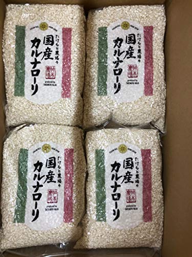 米 石川県産 10kg精米 ゆめみづほ 米 10キロ 令和7年産 新米 精米 北陸・石川県産 10kg