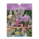 Trötsch Wochenkalender zum Hängen Landliebe 2026: Wandkalender