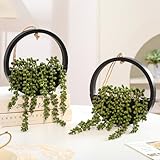 Zoom IMG-2 hobyhoon pianta grassa artificiale filo Zoom IMG-2 hobyhoon pianta grassa artificiale filo