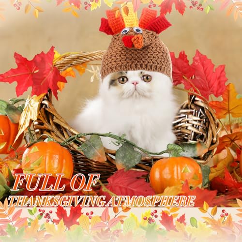Huhumy Disfraz Gorro Pavo para Perros y Gatos Tamaño Small miniatura 6