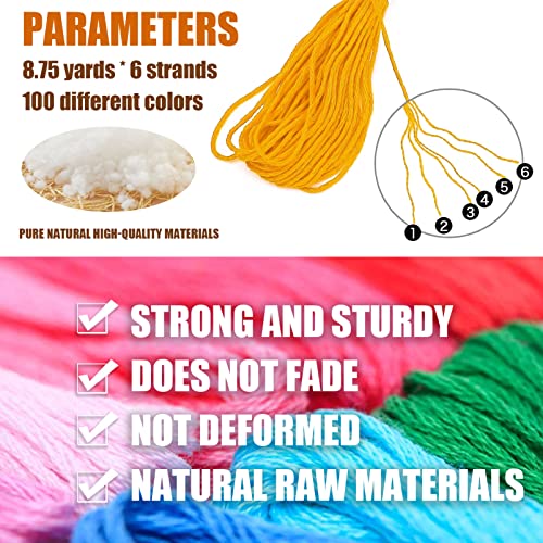 Embroidery Floss Set 100 Skeins Rainbow Color Cross Stitch Threads Sewing Embroidery Starter Kit For Beginners Diy Crafts #TOP1