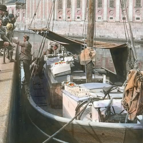 P&aelig;reskuder og frugtplantager