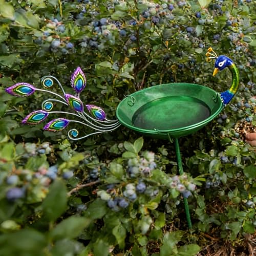 Bain d'oiseaux en métal durable résistant à la rouille extérieure