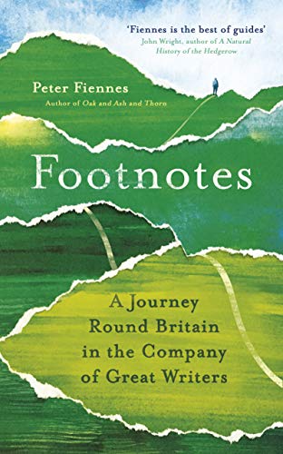 Footnotes view 2