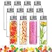 TESSTSY 12 Stück Reagenzgläser Kunststoff Transparent 110ML, Reagenzglas Schraubverschluss, Reagenzröhrchen Plastik Laborröhrchen Kunststoff, für Hydroponics, Süßigkeiten, Gewürzen ml Glas günstig Kaufen-TESSTSY 12 Stück Reagenzgläser Kunststoff Transparent 110ML, Reagenzglas Schraubverschluss, Reagenzröhrchen Plastik Laborröhrchen Kunststoff, für Hydroponics, Süßigkeiten, Gewürzen
