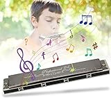 QUALITÉ PROFESSIONNELLE : harmonica diatonique à 24 trous en touche F doté d'anches en bronze phosphoreux qui offrent des sons nets et lumineux pour une qualité sonore supérieure