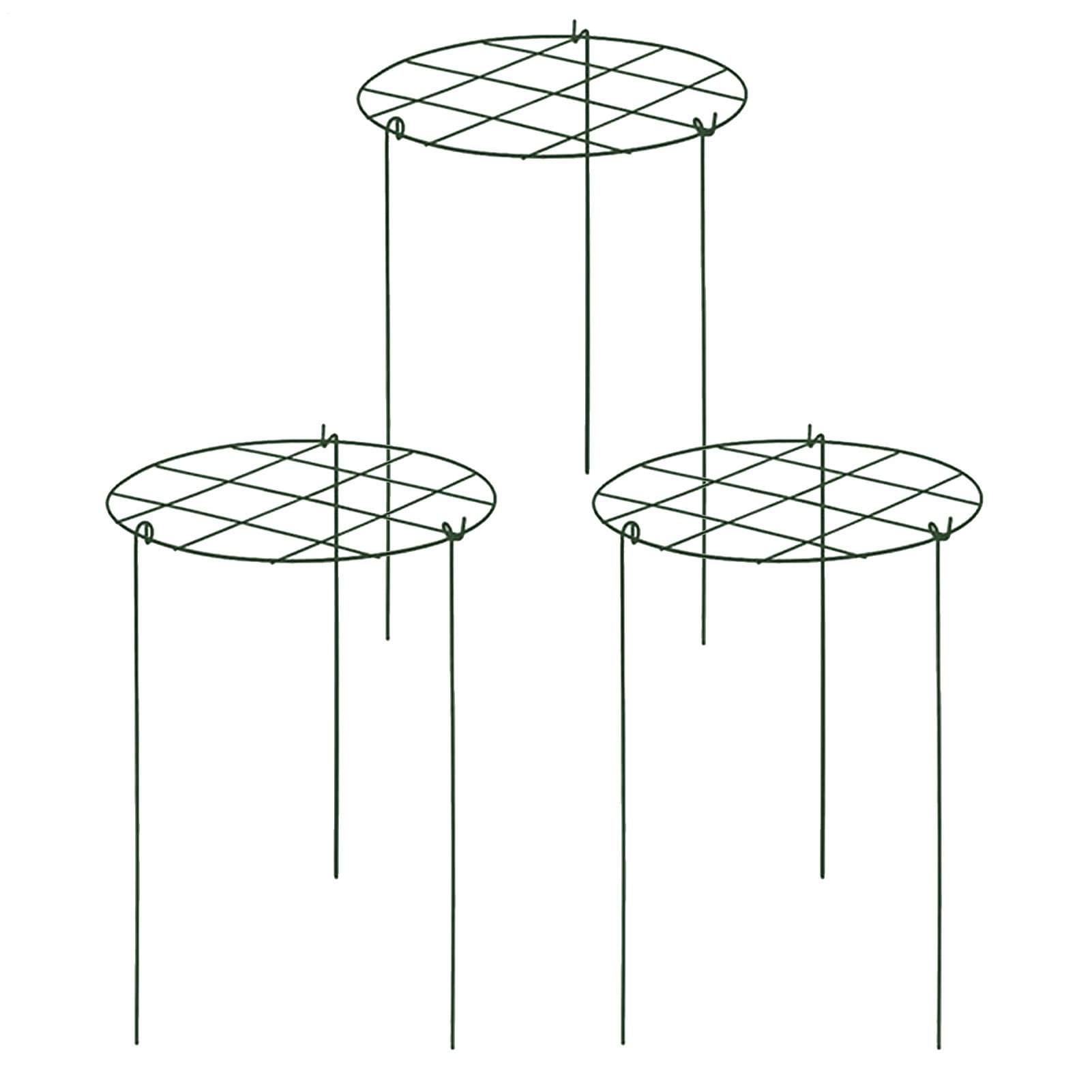 Treillis de d'intérieur et extérieur pour plante grimpante