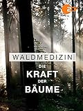 Waldmedizin - Die Kraft der Bäume