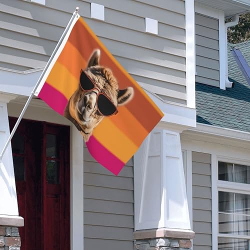 Drapeau extérieur 1,2x1,8m double face anti-décoloration chameau pour jardin