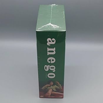 anego　未開封DVD-BOX　篠原涼子　ともさかりえ　赤西仁　戸田菜穂 Amazon.co.jp: anego DVD-BOX 篠原涼子 ともさかりえ 赤西仁