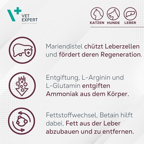 VetExpert Hepatiale Forte | 40 Tabletten | Ergänzungsfuttermittel für Hunde und Katzen
