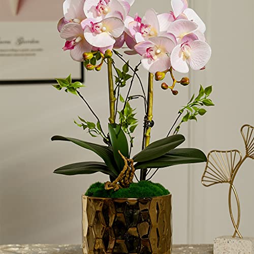 Vase décor simulation orchidée papillon pour pot plastique intérieur salon