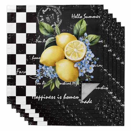Servilletas de Tela Cuadradas Set x6 20x20 pulgadas