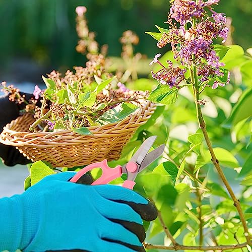 Juego de 12 tijeras para jardín Lasnten rosa miniatura 6