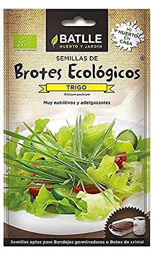 Semillas Batlle BROTES TRIGO - ECO