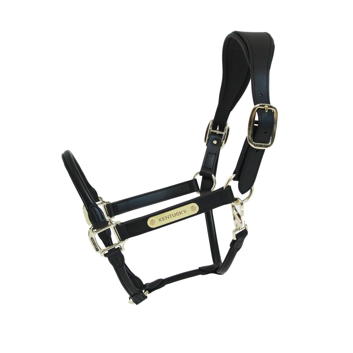 Anatomical leather halter Kentucky