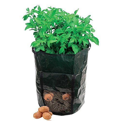 AmgateEu  Lot de 2 sacs de plantation de pommes de terre et de légumes pour jardin, avec accès à rabat pour la récolte, en polyéthylène étanche respectueux de l'environnement 2Pcs