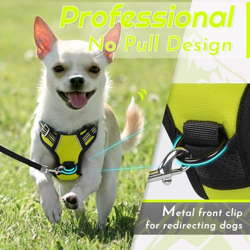 Image of Eagloo Dog Harness for Small Dogs, No Pull Pet Vest with 2 Leash Clips