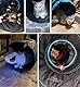 Pawaboo Katzenspielzeug, S Förmiger Katzentunne mit Ball und Glocken Faltbar Rascheltunnel Katze Katzentunnel für Hunde Welpeln Kaninchen und Kleintiere Haustier, Schwarz und Himmelblau