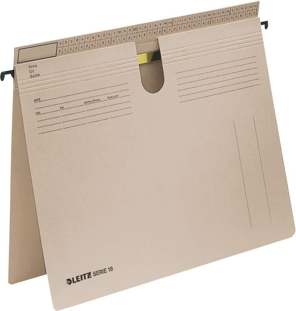 Esselte-Leitz-Raccoglitore a sospensione, Serie 18 CFM e ufficio, in cartoncino Manila, capacità di rilegatura, colore: grigio