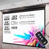  Pantera  Motorleinwand  240 x 240 cm  134\