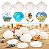 30PCS Natural Scallop Shells 2.3''-3'' White Sea Shells for DIY Craft Making, Hand Painting, Ocean Themed Party and Home Décor #3