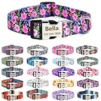 Collare Incisione Nome Cane Collare Per Cane In Pelle Morbida Con Nome Inciso - Regolabile Dalle Taglie XS A XL Adesivi Casco Moto - Foto 8