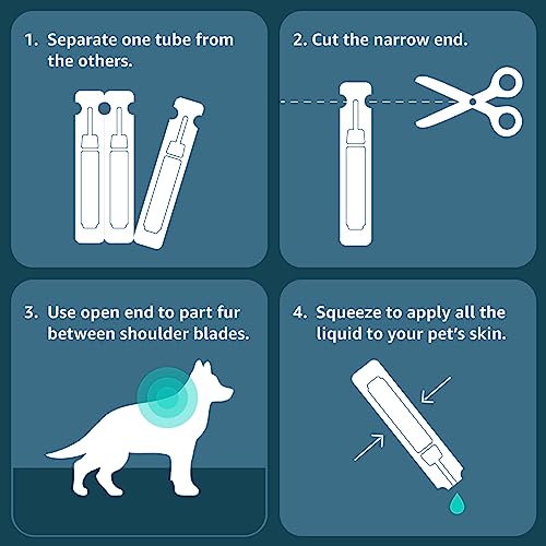 Amazon Basics Flea, Tick & Mosquito Topical Treatment For X-Large Dogs (Over 55 Pounds), 6 Count (Previously Solimo) #TOP7