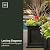 Mayne Fairfield 20-Inch Square Planter – Self-Watering, Weather-Resistant Planter for Flowers – Durable Outdoor Design for Patio, Porch, or Entryway