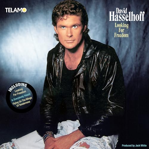 David Hasselhoff