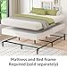AmazonBasics Mattress Foundation/Smart Box Spring - 5