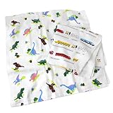 hiorie(ヒオリエ) 日本製 バスタオル 男の子柄 ガーゼタオル 2枚セット 恐竜＋電車 泉州タオル