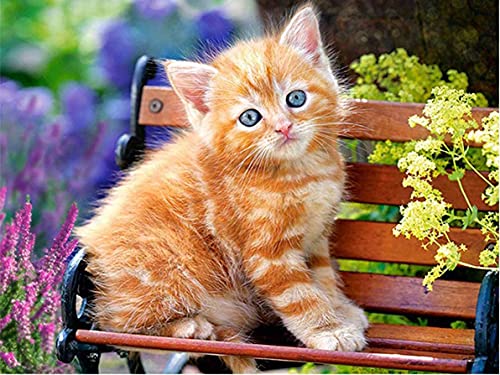 Jantabo 5D Diamond Painting Strass Complet Chat, Broderie Diamant Peinture Kits Complète Animal, Craft pour Accueil Cadre Home Decoration Murale Salon Chambre Décoration 30x40cm A29 Cover