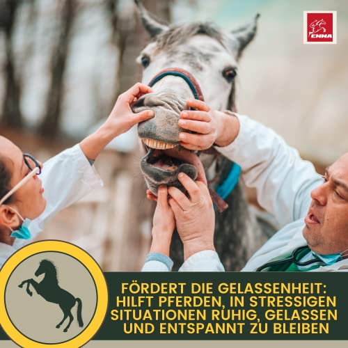 Magnésium cheval poudre Calm Horse Relax Antistress pour calmer l