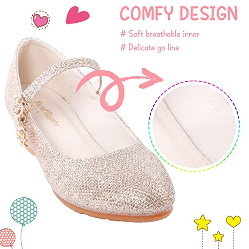 Girls Low Heel Princess Mary Jane Party Dress Shoes - Princess Ballerina Flats for School Party Wedding, Back to School Shoes for Gilrs (Little Kid/Big Kids)2