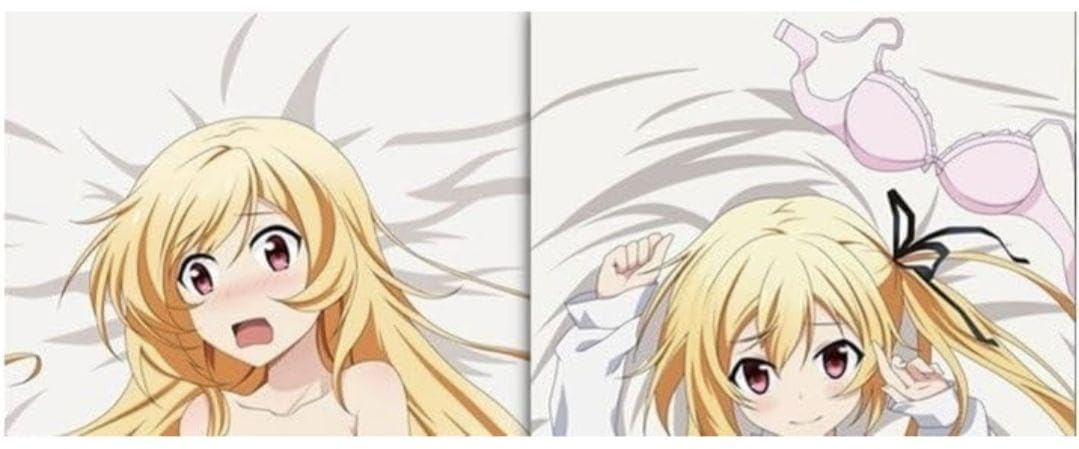 最弱無敗の神装機竜 リーズシャルテ 抱き枕カバー Amazon.co.jp: 最弱無敗の神装機竜 (A) リーズシャルテ 抱き枕