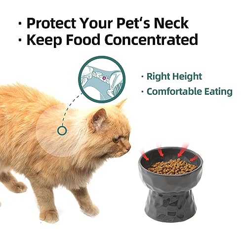 Havniva Ceramic Raised Cat Bowl, Elevated Food and Water Bowl,Kitty Bowl,Cat Dish, Pet Feeder (Dark Grey, Raised x 2), NOT tilted.
