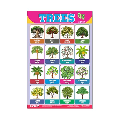 Image of ESCAPER Trees Educational Charts for Kids Learning (11.5 x 17.5 Inches), Study Material, Learning Books, Educational Posters
