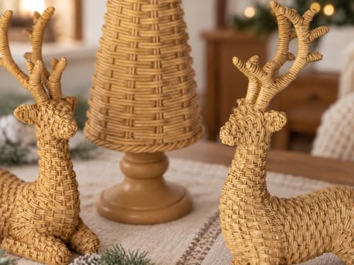 5 PC Reindeer Christmas Decor - image 6