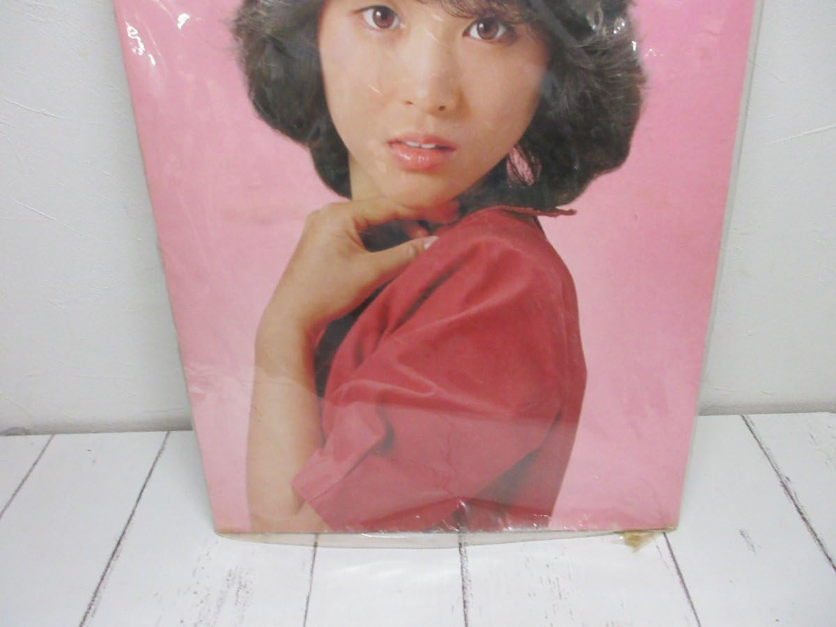 松田聖子 インテリア 昭和レトロ 当時物 木製パネル ポスター Amazon.co.jp: 松田聖子 木製 パネルポスター 写真パネル