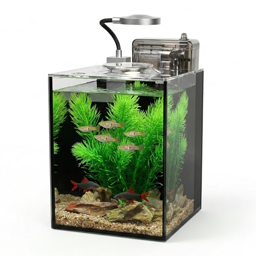 1.2 Gallon Glass Desktop Tank