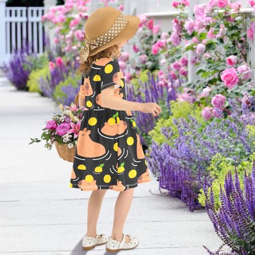 Girls' Short Sleeve Dress Cartoon Summer One-Piece Dress A-Line Swing Skater Dresses 2-8T4