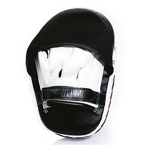 Amazon | Fairtex FMV11 Aero Focus Mitts - Punch Pads Training Muay