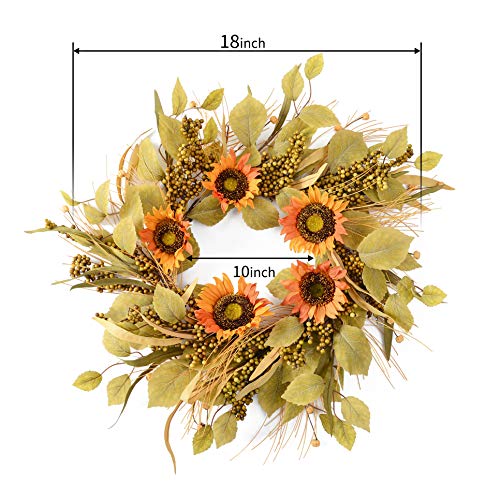 image for YNYLCHMX 18
